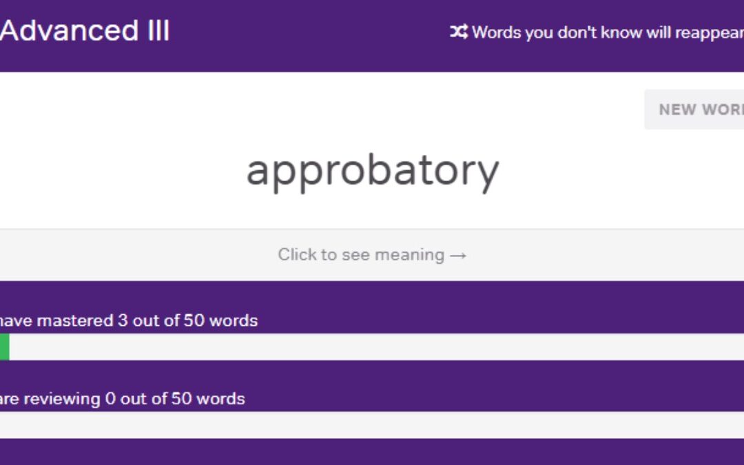 Magoosh GRE Vocabulary Flashcards Review: Are they enough?